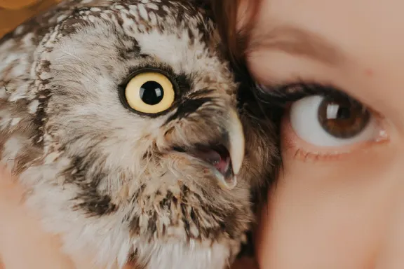 קזינו אולסטאר סלוטס תמיכה